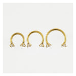 PVD GOLD 316L SURGICAL STEEL CLAWSET HORSESHOE