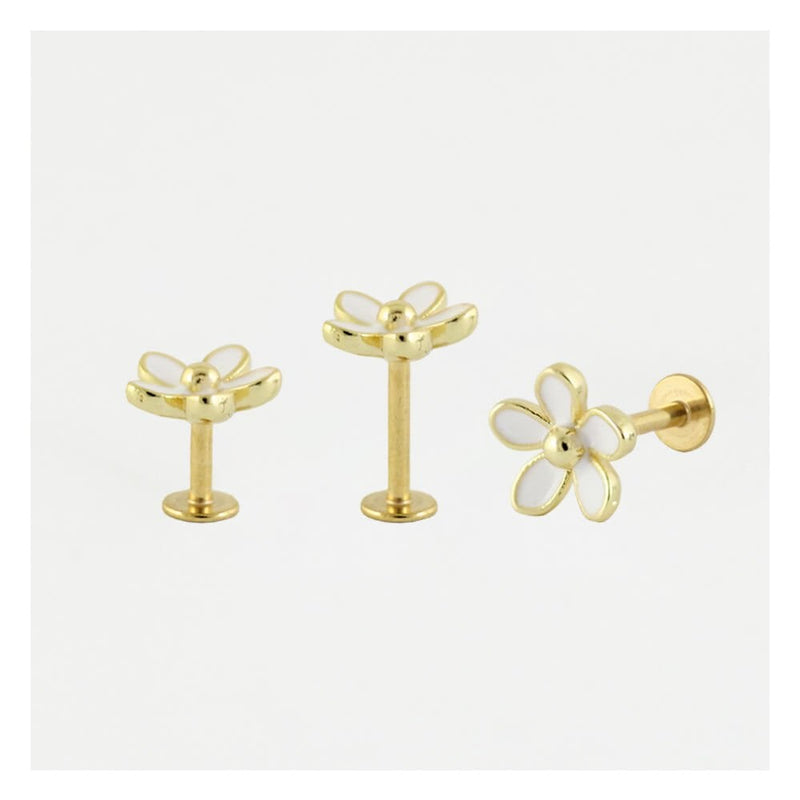 GOLD FLOWER LABRET/EARBAR