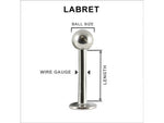 STEEL CLAWSET RAINBOW ZIRCON LABRET/EARBAR